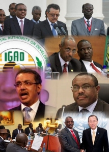 IGAD Logo Collage